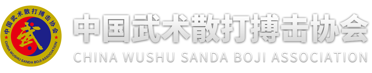 中國武術散打搏擊協會